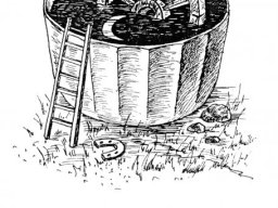 Графические иллюстрации